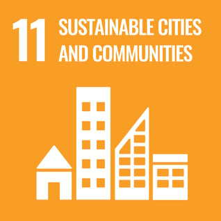 SDG 11